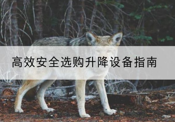 大邑升降货梯厂家推荐-*安全选购升降设备指南