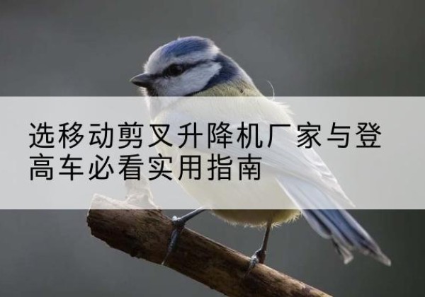 大邑电动升降机厂家-选移动剪叉升降机厂家与登高车必看实用指南