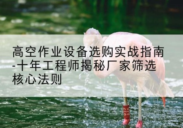 大邑剪叉式升降机厂家-高空作业设备选购实战指南-十年工程师揭秘厂家筛选核心法则